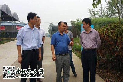 东南苗木大王